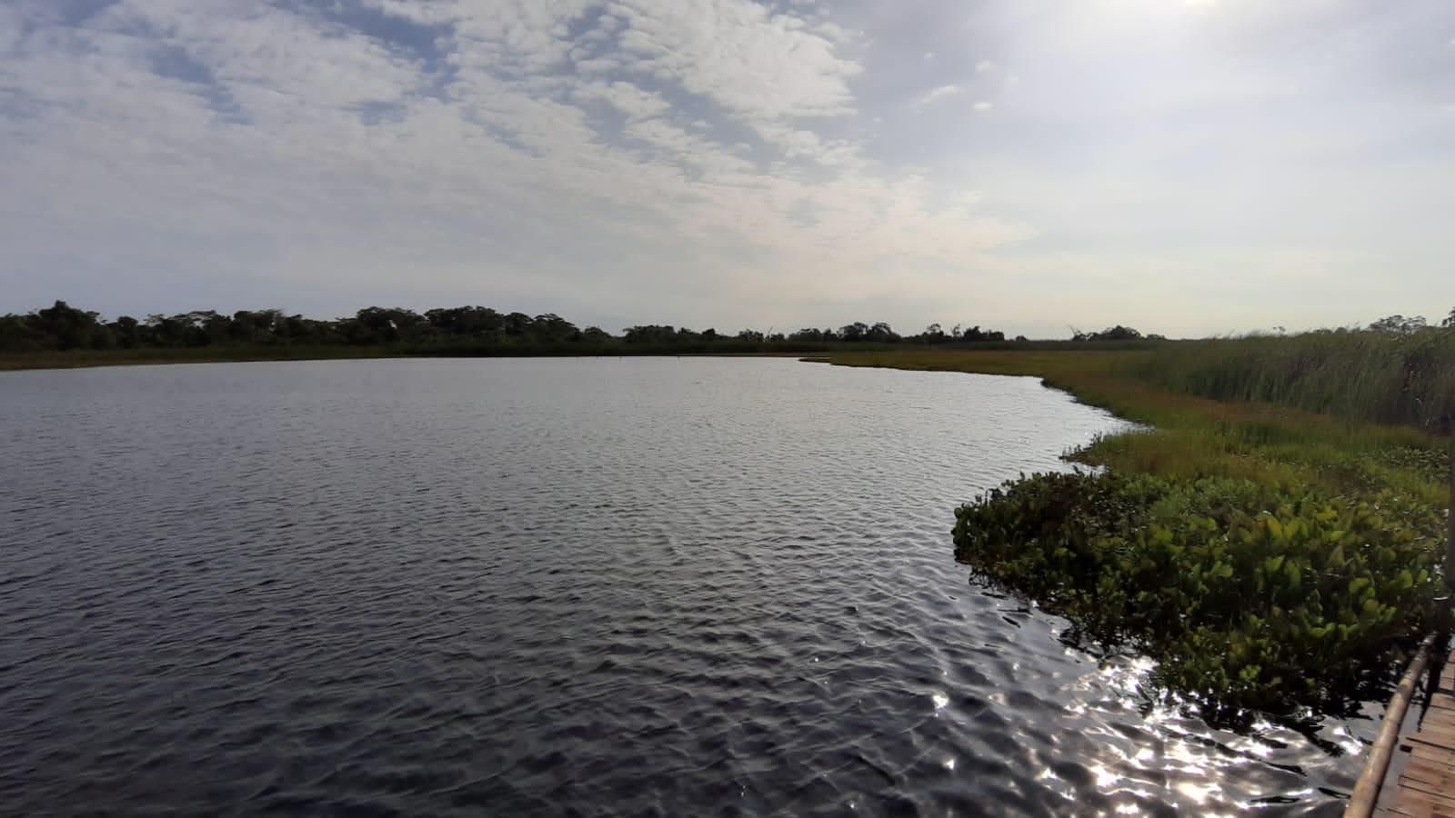 outros à venda em zona rural, bataguassu 1000m²