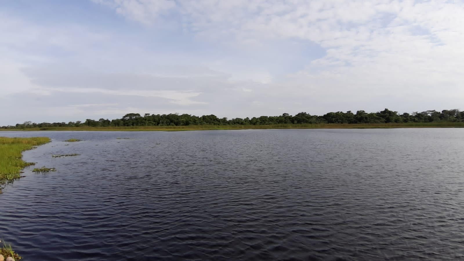 outros à venda em zona rural, bataguassu 1000m²