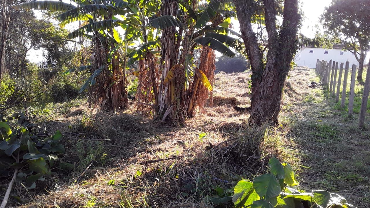 terreno residencial à venda em centro, piracaia
